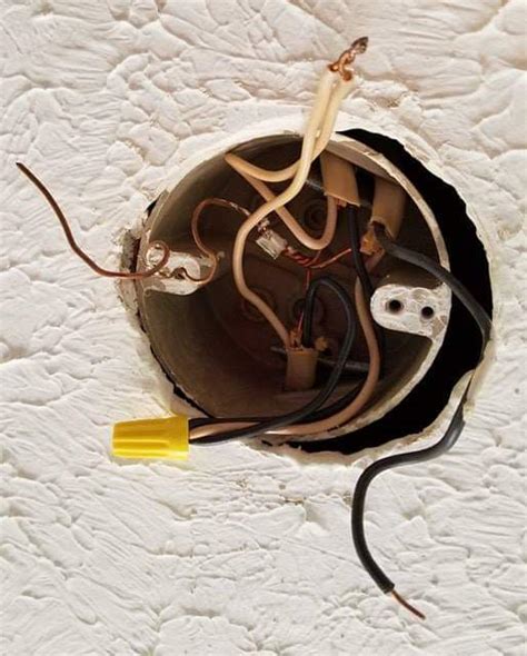 electrical box has 2 black and 2 white wires|black and white outlet wiring.